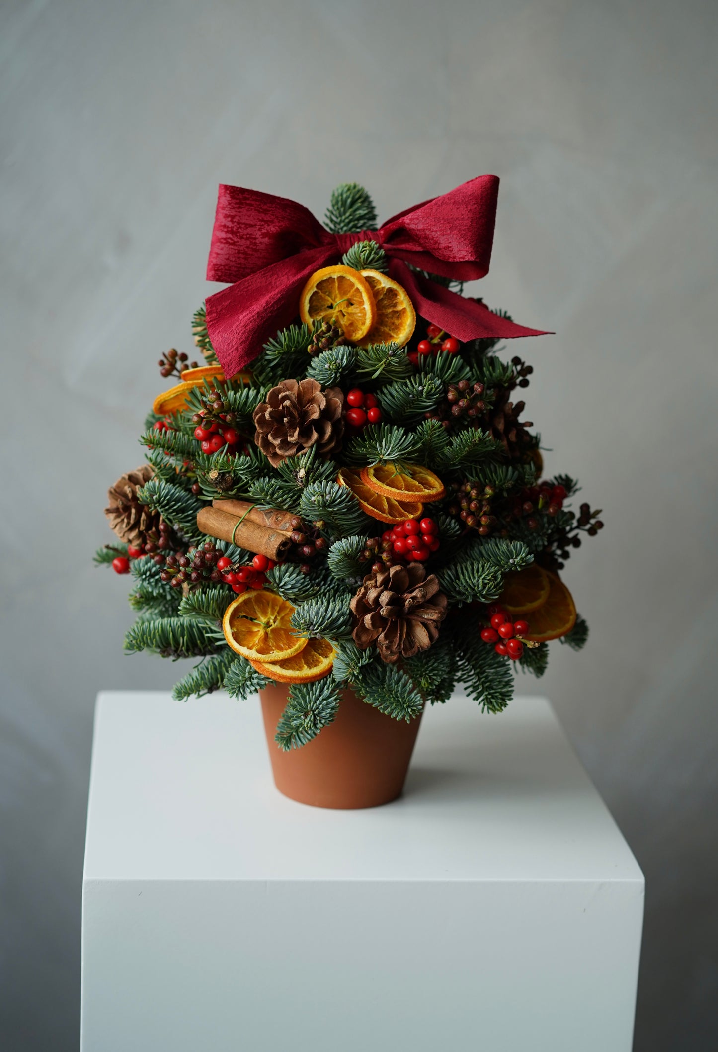 Classic Noble Fir mini Christmas tree with pine cones, cinnamon and dried fruit decorations
