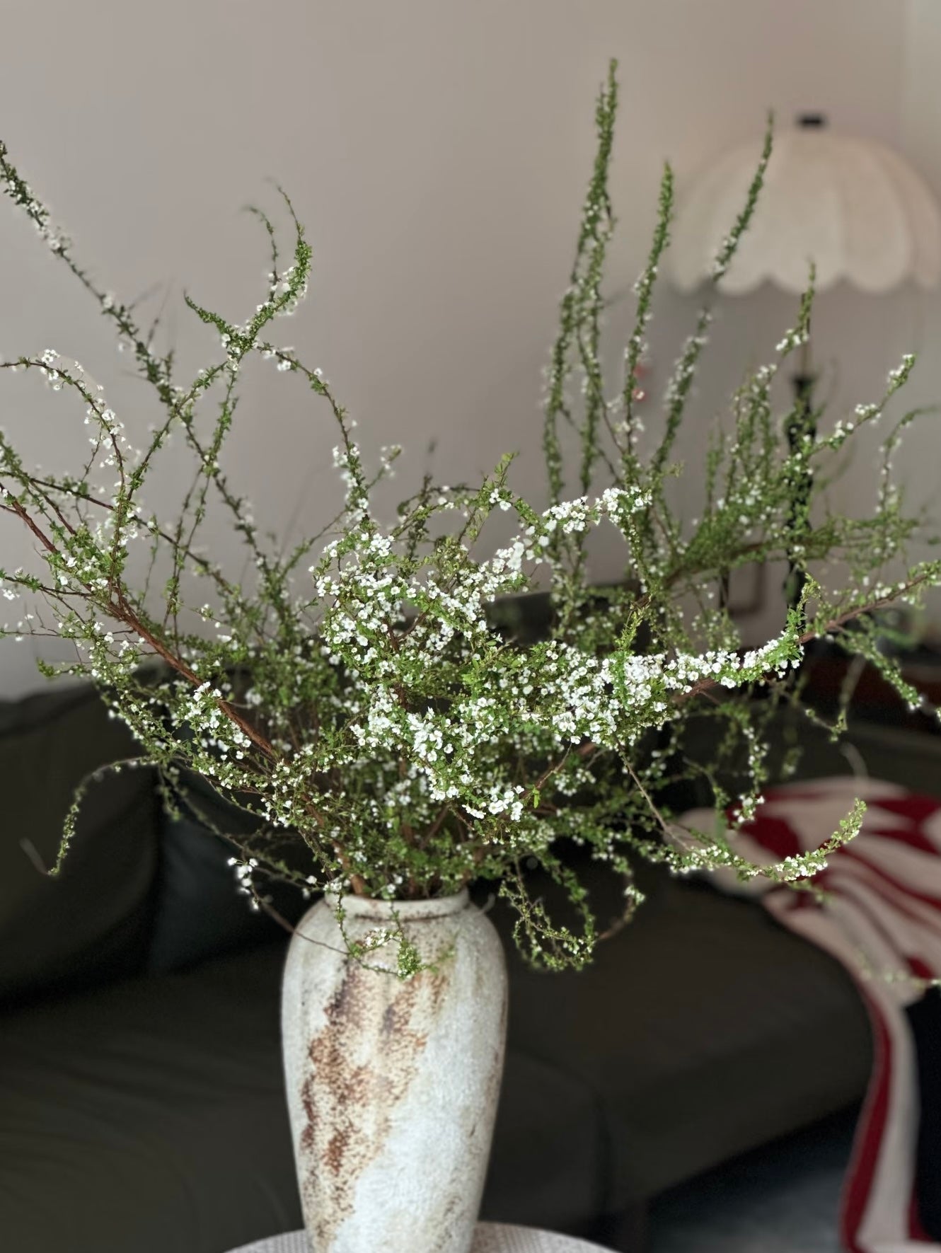 Textured Vase