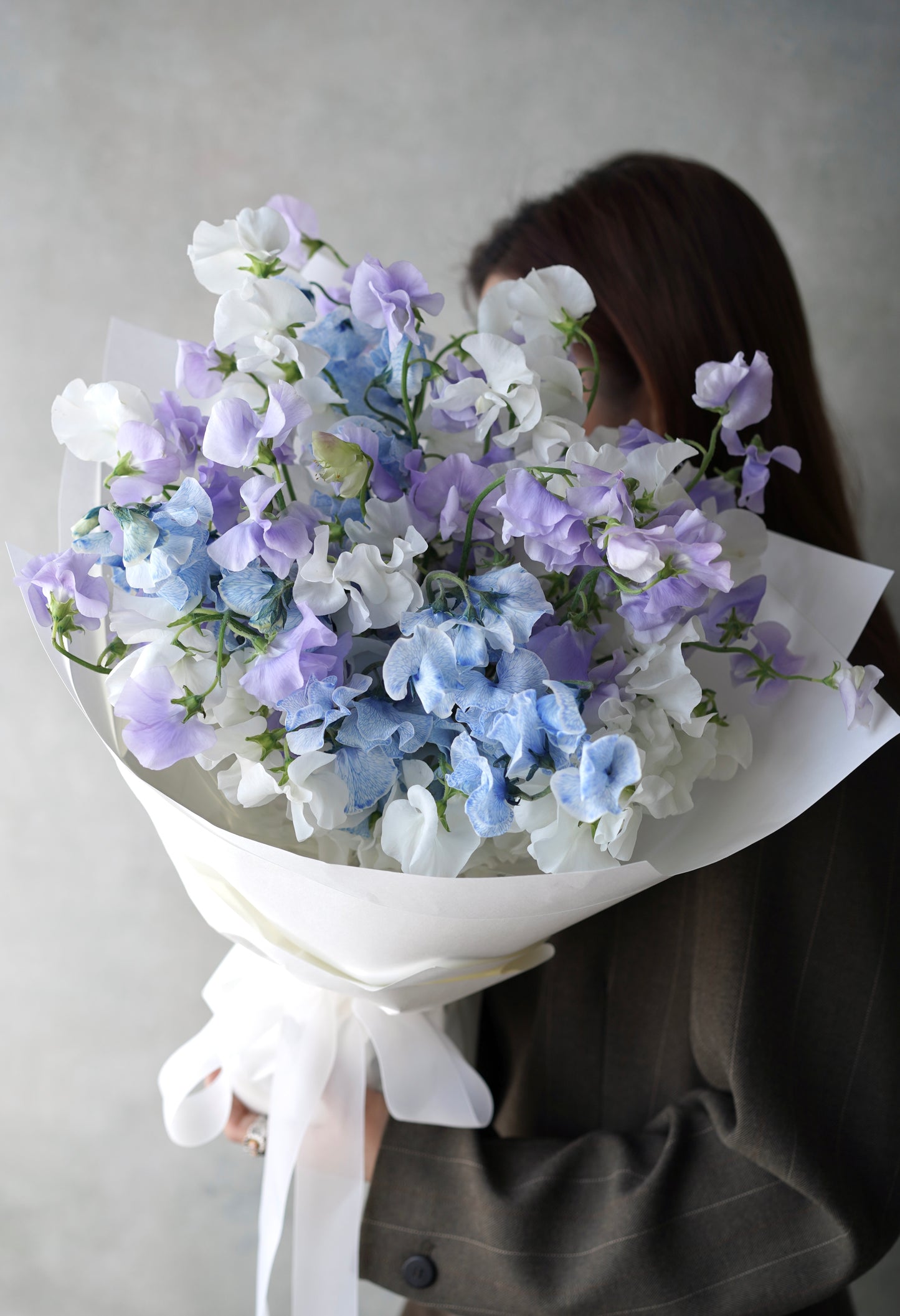 DEWLIGHT SERENADE | 露泊