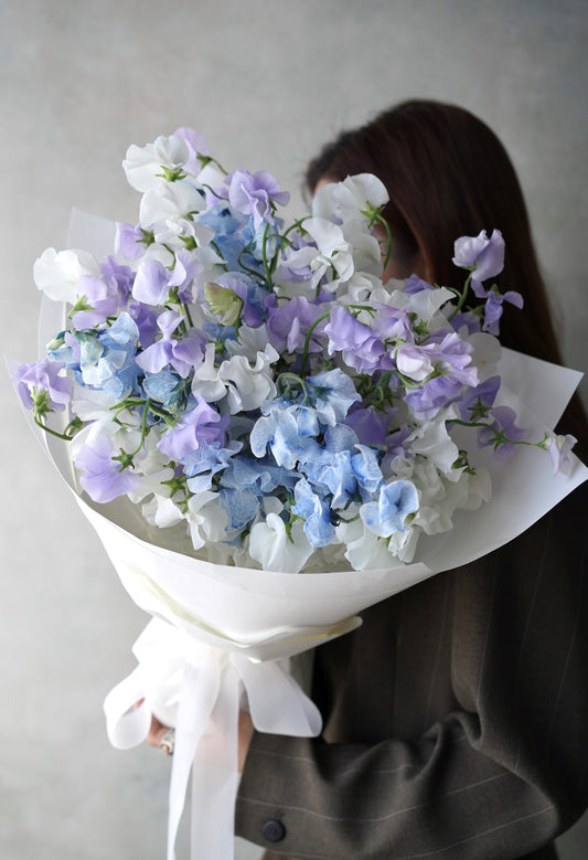 DEWLIGHT SERENADE | 露泊