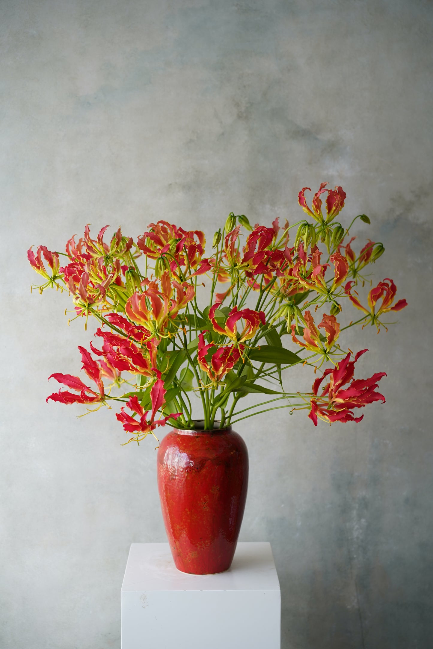Red Tall vase