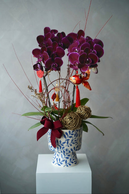 2 Stems Orchid in Porcelain Pot